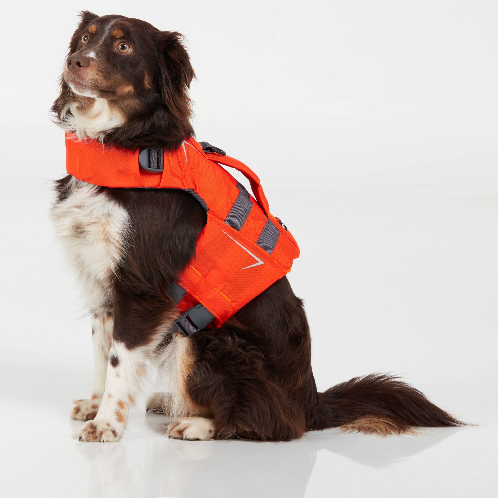 NRS CFD Dog Life Jacket Hunde Schwimmweste